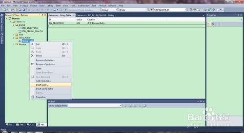 软件开发国际化 战略、挑战与实践